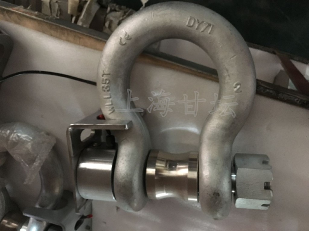 高強(qiáng)度?卸扣測力儀器?HZ-WD-100T? 無線手持儀表?