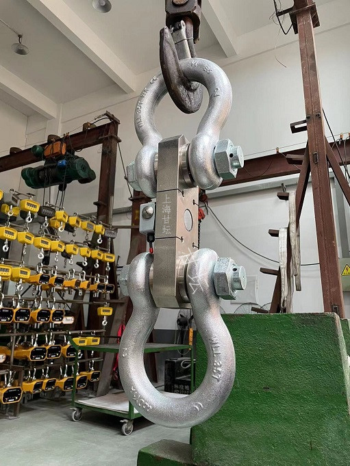 工業(yè)電子測力計(jì)